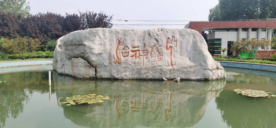 说明: 图片
